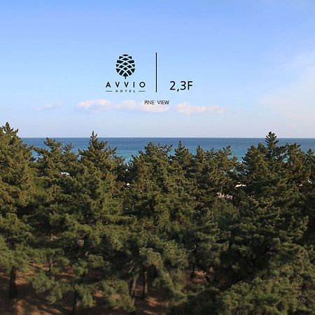 Avvio Hotel Gangneung Exterior photo