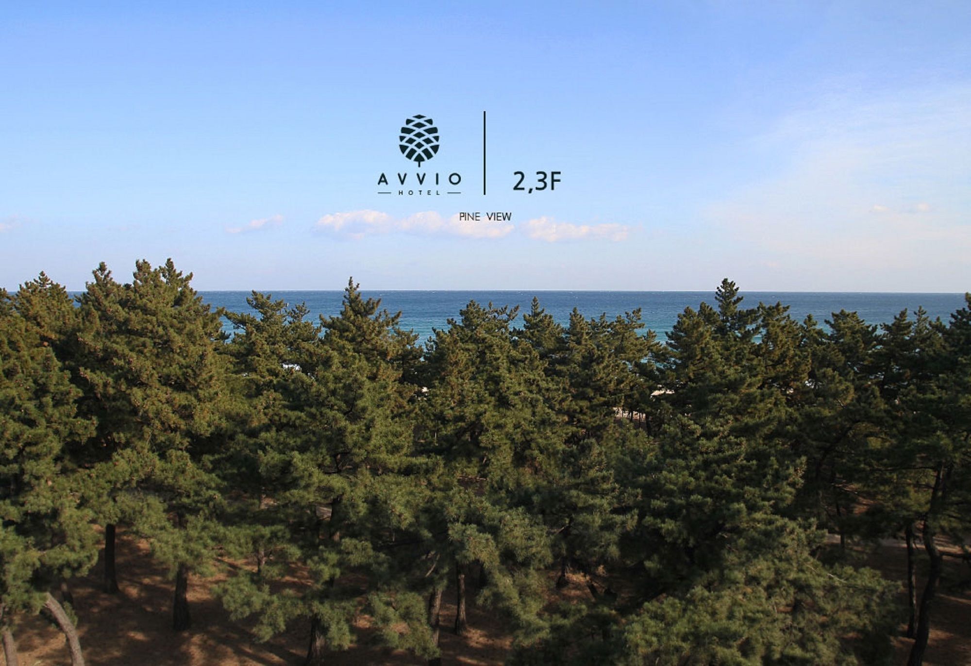 Avvio Hotel Gangneung Exterior photo